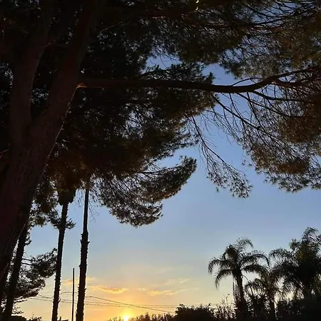 La Pineta *