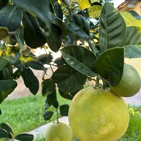 La Pineta Arenella (Syracuse)